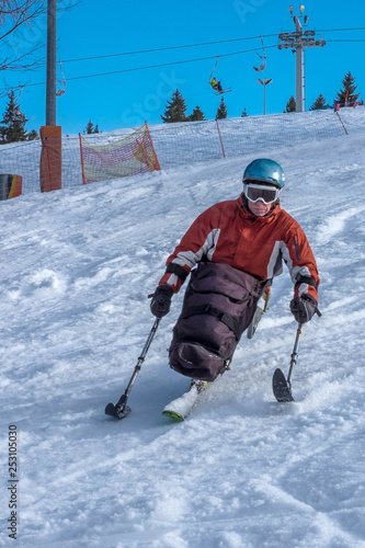 Wallpaper Mural Athletes with physical disabilities - handicapped skier, person with a disability Torontodigital.ca