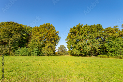 Unterbrechung im Wald