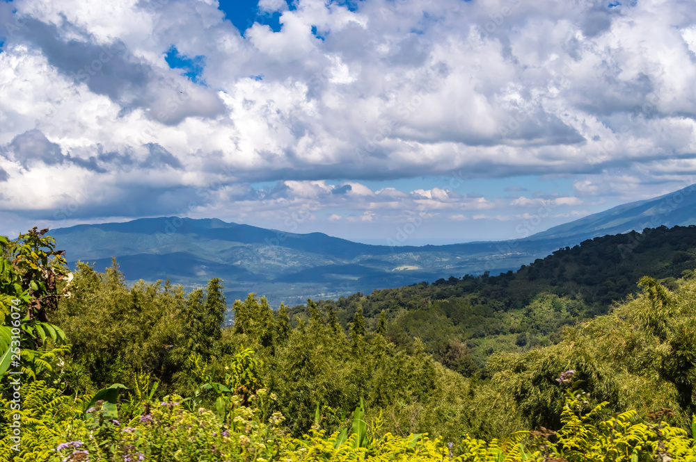 View of the forest and the mountains of Aberdare