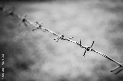 Detail of barbed wire close up.  Processed in Black and White tone.