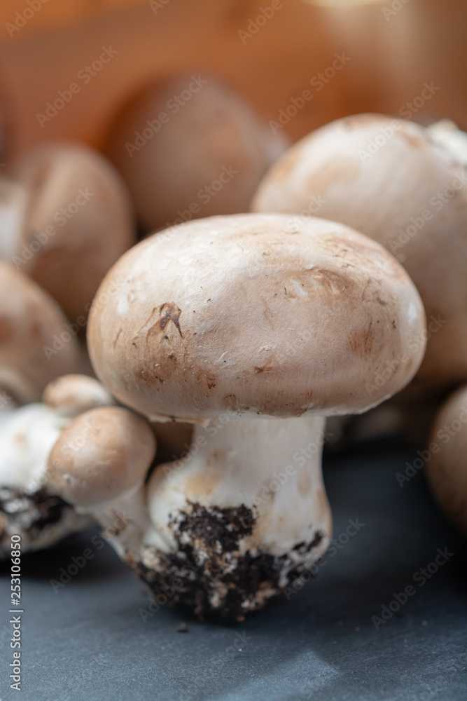 Fresh organic brown chestnut champignons from underground caves in Belgium