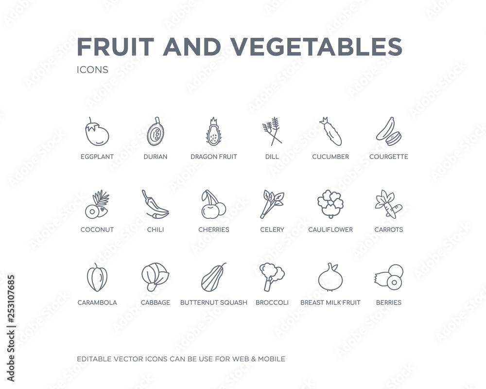 simple set of fruit and vegetables vector line icons. contains such icons as berries, breast milk fruit, broccoli, butternut squash, cabbage, carambola, carrots, cauliflower, celery and more. simple set of fruit and vegetables vector line icons. contains such icons as berries, breast milk fruit, broccoli, butternut squash, cabbage, carambola, carrots, cauliflower, celery and more.
