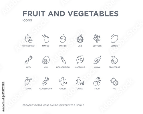 simple set of fruit and vegetables vector line icons. contains such icons as fig, fruit, garlic, ginger, gooseberry, grape, grapefruit, guava, hazelnut and more. editable pixel perfect.