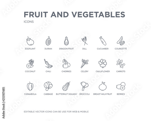 simple set of fruit and vegetables vector line icons. contains such icons as berries  breast milk fruit  broccoli  butternut squash  cabbage  carambola  carrots  cauliflower  celery and more.