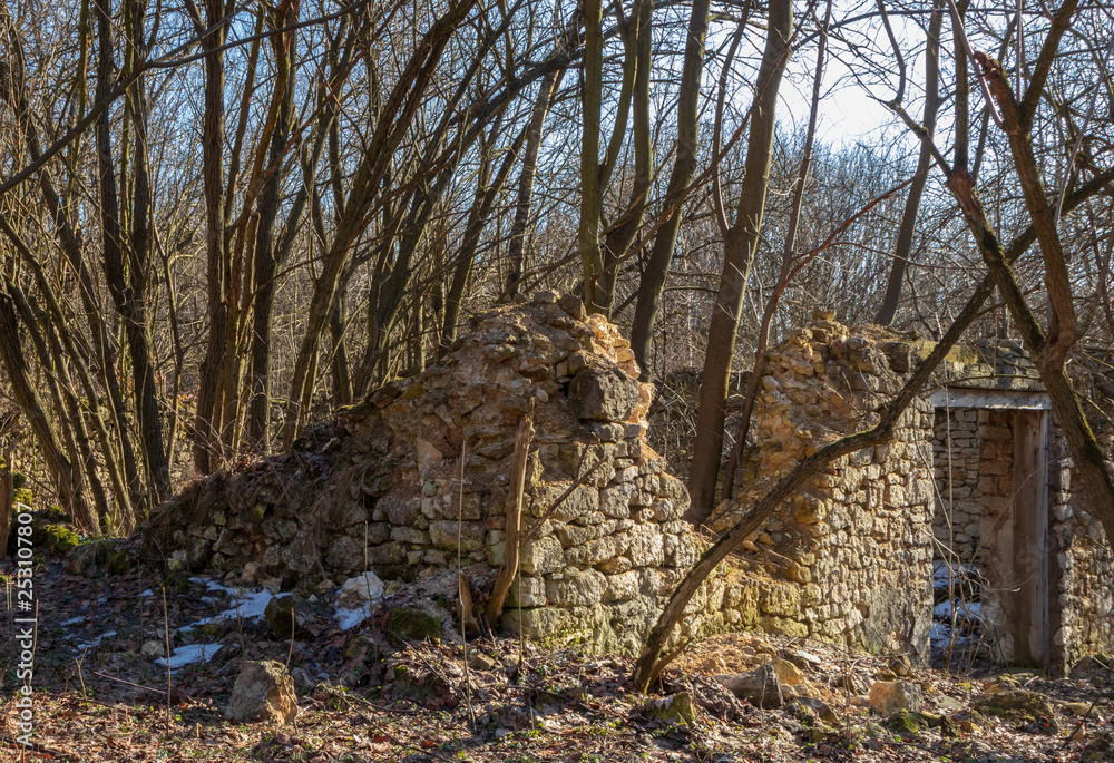 Fototapeta premium Ruins near the castle in Pieskowa Skala, Poland