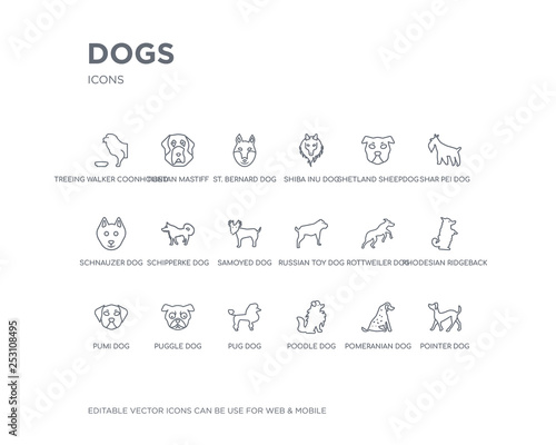 simple set of dogs vector line icons. contains such icons as pointer dog, pomeranian dog, poodle dog, pug puggle pumi rhodesian ridgeback rottweiler russian toy and more. editable pixel perfect. photo