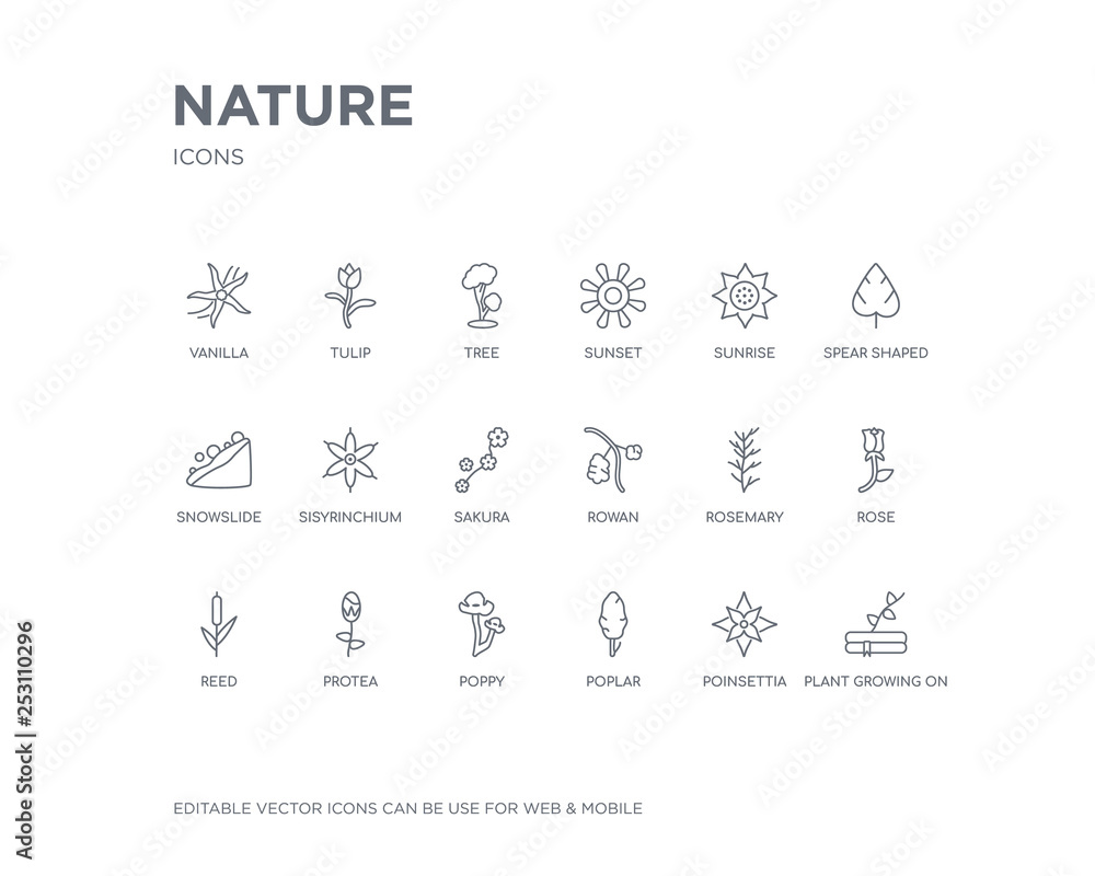 simple set of nature vector line icons. contains such icons as plant growing on book, poinsettia, poplar, poppy, protea, reed, rose, rosemary, rowan and more. editable pixel perfect.