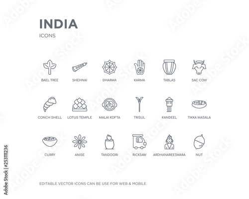 simple set of india vector line icons. contains such icons as nut, ardhanareeswara, ricksaw, tandoori, anise, curry, tikka masala, kandeel, trisul and more. editable pixel perfect.