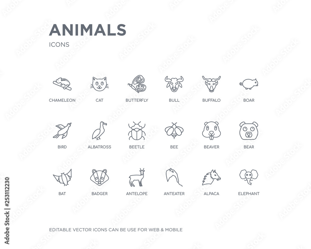 simple set of animals vector line icons. contains such icons as elephant, alpaca, anteater, antelope, badger, bat, bear, beaver, bee and more. editable pixel perfect.