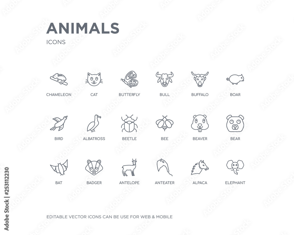 simple set of animals vector line icons. contains such icons as elephant, alpaca, anteater, antelope, badger, bat, bear, beaver, bee and more. editable pixel perfect. simple set of animals vector line icons. contains such icons as elephant, alpaca, anteater, antelope, badger, bat, bear, beaver, bee and more. editable pixel perfect.