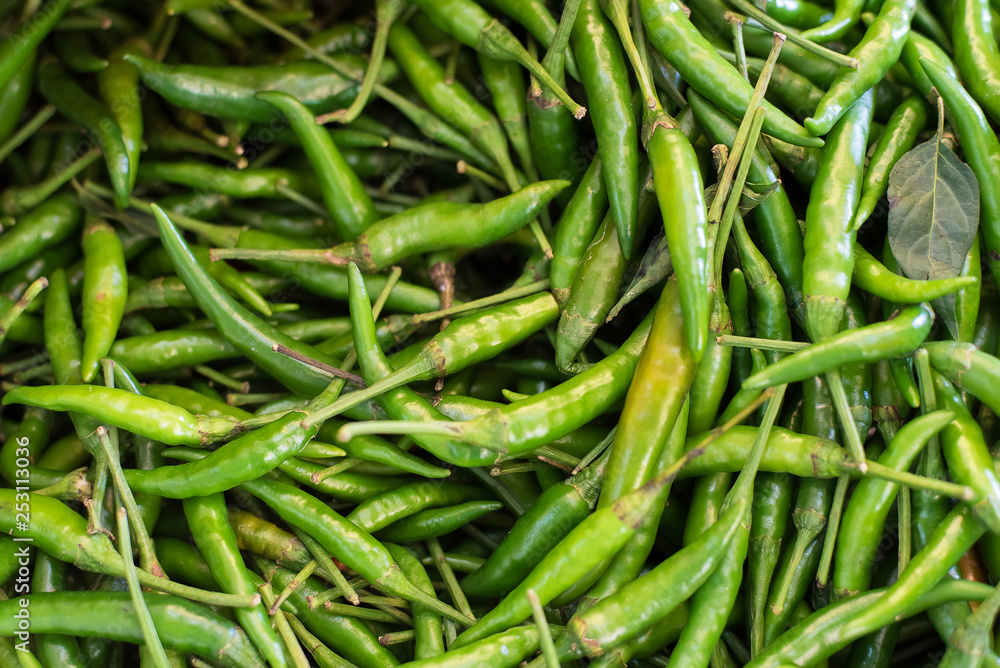 Pile of Fresh Organic Green Chilli at the Local Market Pile of Fresh Organic Green Chilli at the Local Market