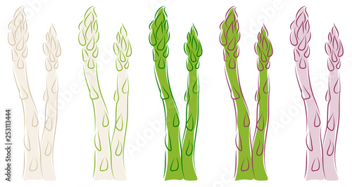 Spargel Grafisch 5 Farben