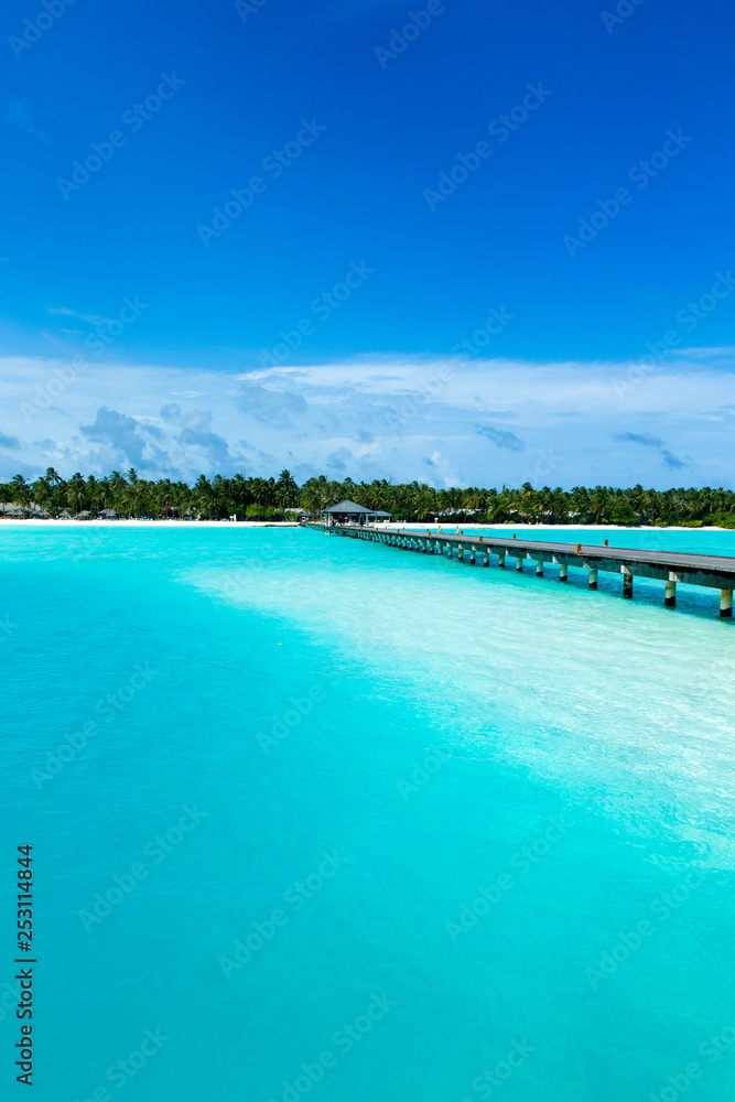  Maldives island with white sandy beach and sea