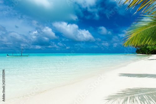  Maldives island with white sandy beach and sea © Pakhnyushchyy