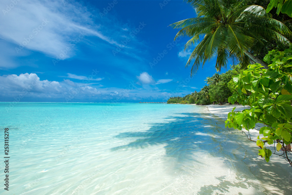Fototapeta premium Maldives island with white sandy beach and sea