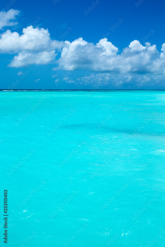 Maldives island with white sandy beach and sea Maldives island with white sandy beach and sea