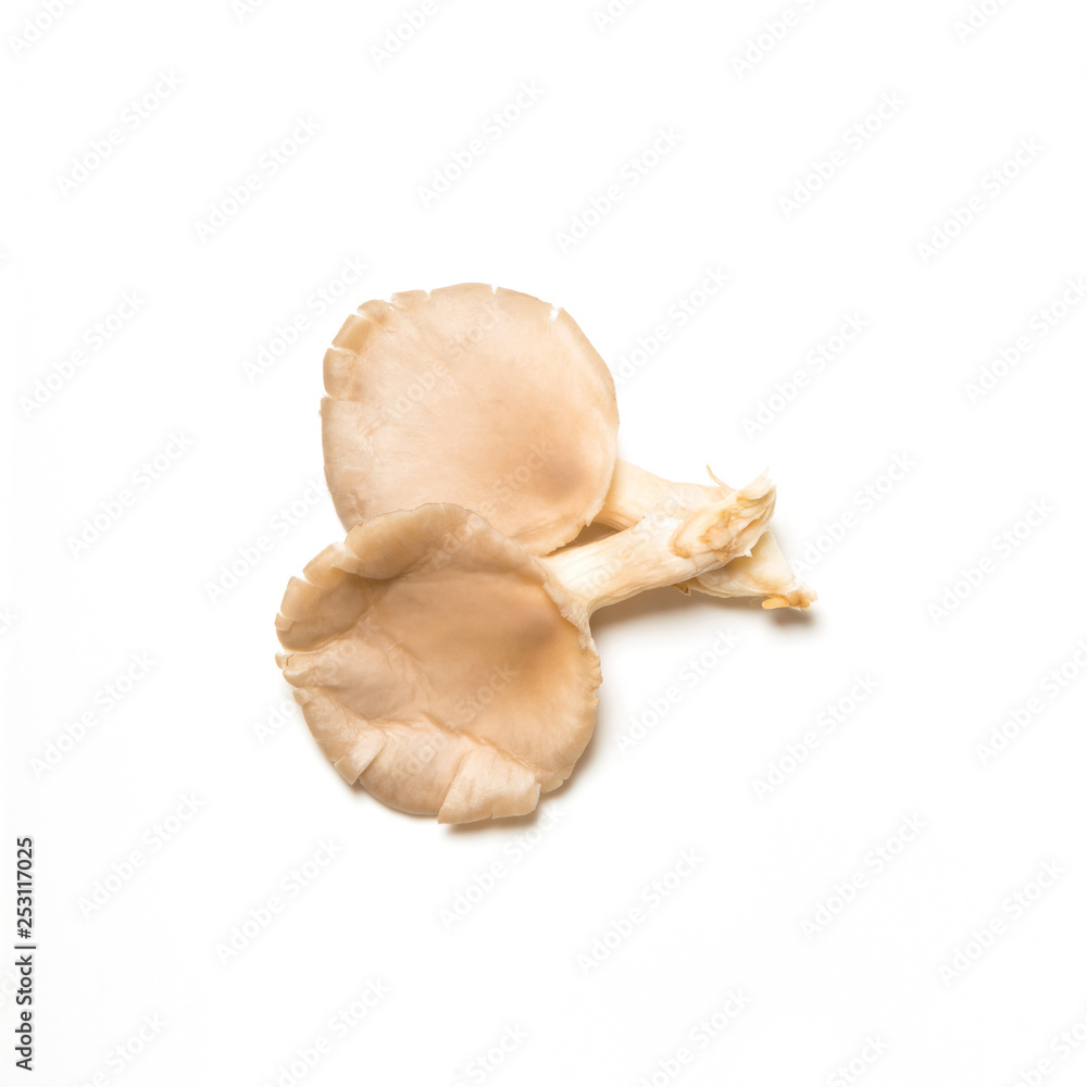 Fototapeta premium Overhead view of mushrooms isolated on white background