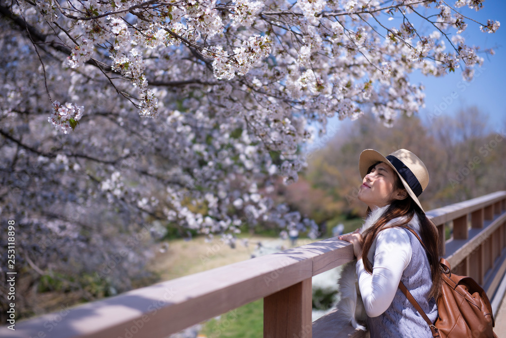 Beautiful young Asian woman is enjoy traveling during spring in Japan and looking at Cherry Blossom. Beautiful young Asian woman is enjoy traveling during spring in Japan and looking at Cherry Blossom.