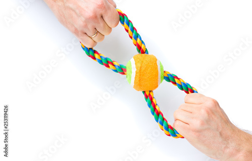 Hand holding Dog toy - pet accessories for games, isolated on white background with copy space