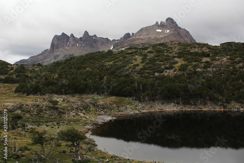 Navarino island  southern patagonia chile