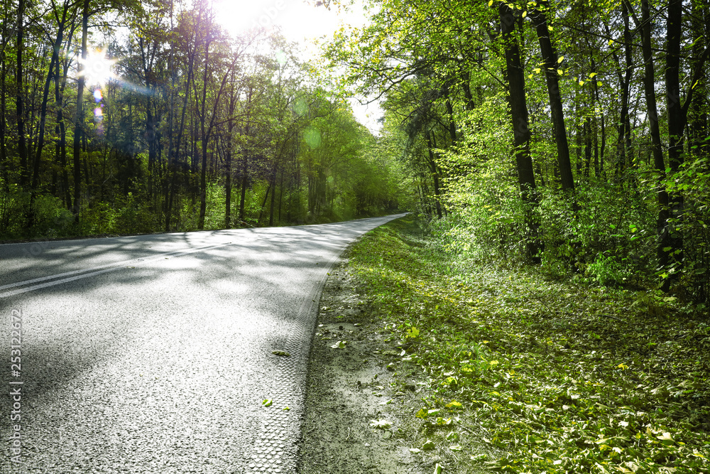 Fototapeta premium Spring road and free space for your decoration. 