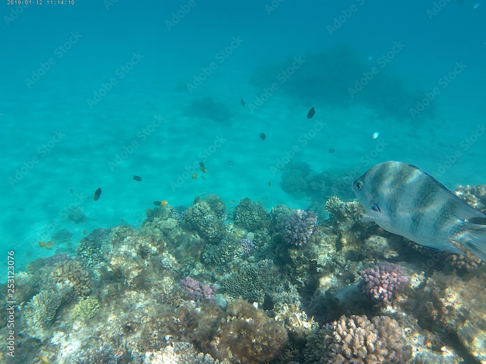 Fototapeta premium Ein anderer Blickwinkel