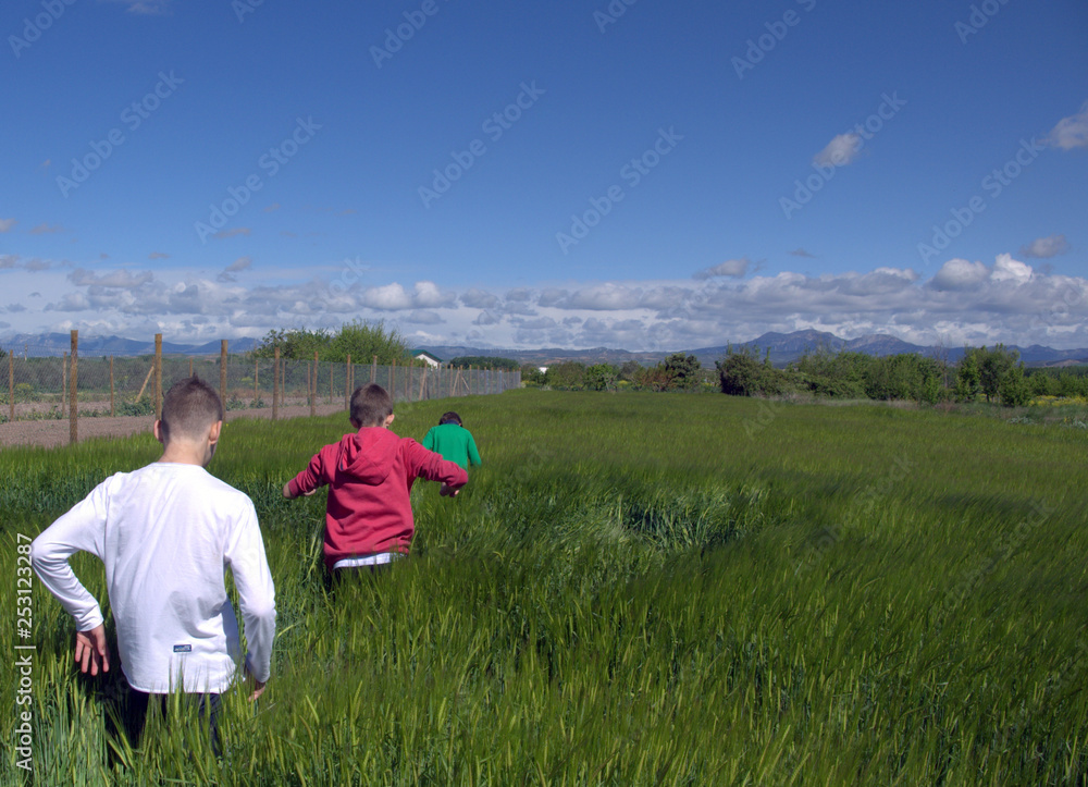 Campo verde niños 4 Campo verde niños 4