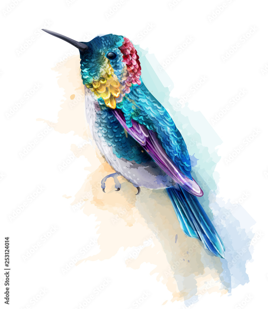 Fototapeta premium Colorful humming bird watercolor Vector. Tropic card backgrounds