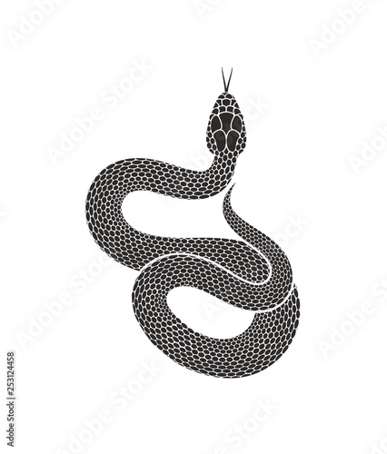Snake logo. Isolated snake on white background