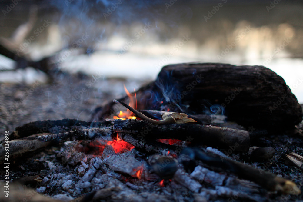 Flame red bonfire in the forest in spring Flame red bonfire in the forest in spring