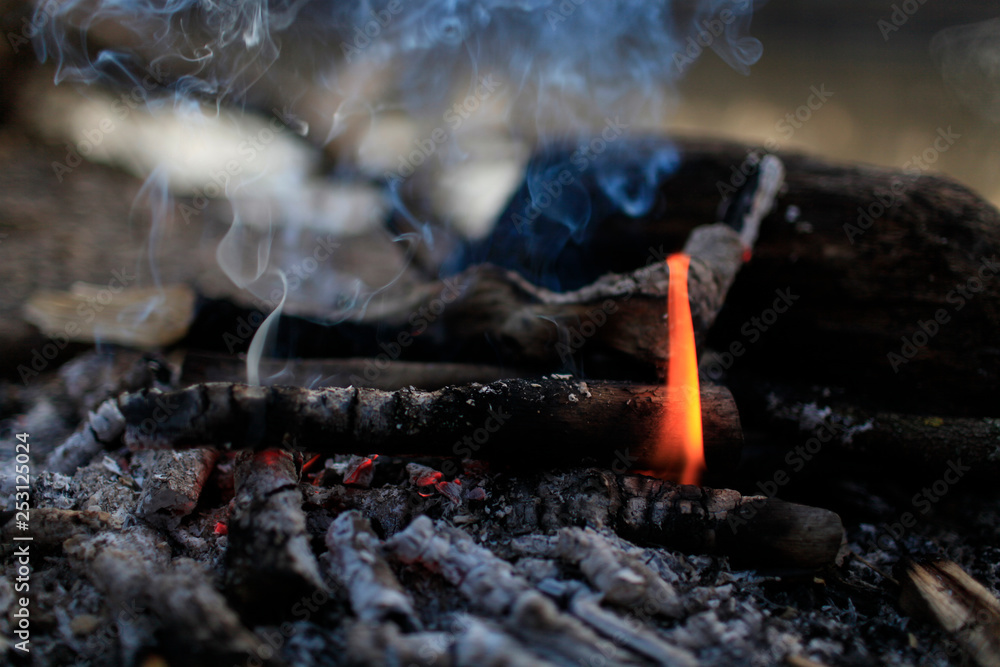 Flame red bonfire and smoke in the evening forest in spring