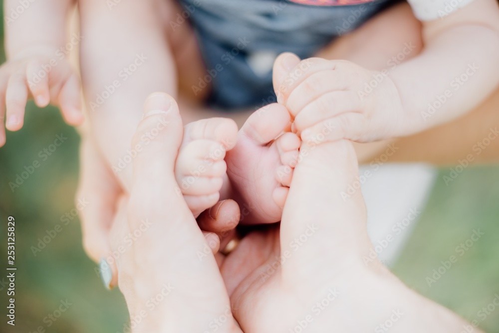 legs of child in parents hand in green summer nature legs of child in parents hand in green summer nature