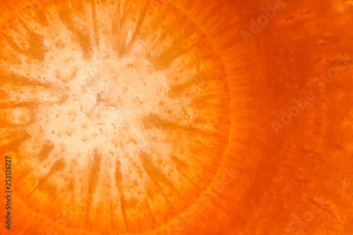 Vegetable abstract background.Super macro shot of fresh carrot. Detailed background with fibers, enhanced texture and translucency.
