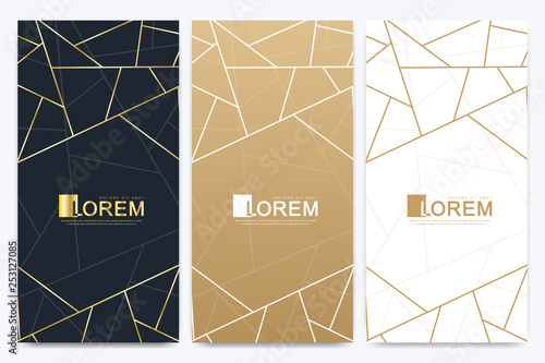 Chocolate bar packaging set. Trendy luxury product branding template with label pattern for packaging. Abstract golden package with texture background and golden geometric lines. Vector illustration