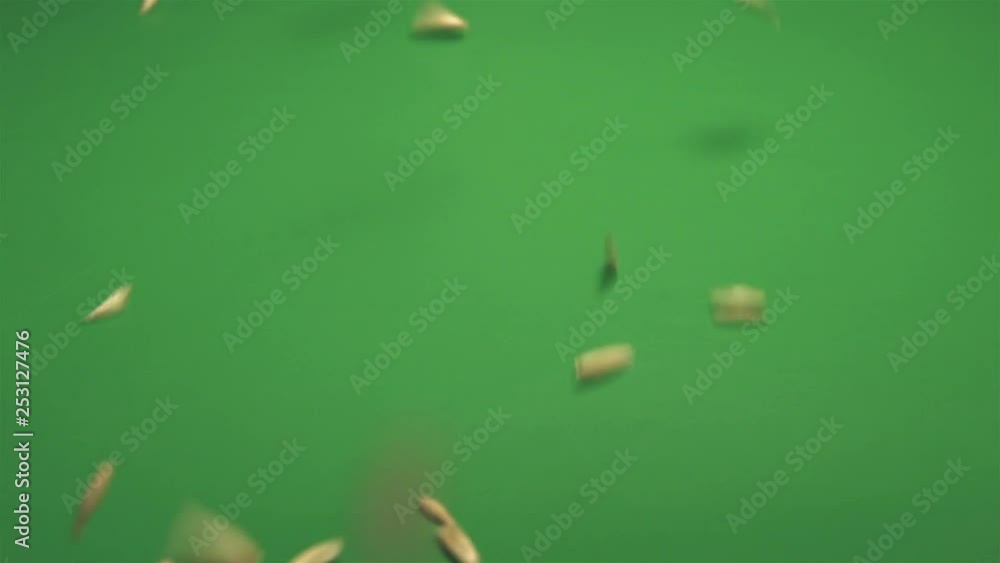 Oats in shell on green ecological background. 2 Shots. 1. Oats in shell roll down on green ecological background. 2. Horizontal (from right to left) pan. Oats in shell on green ecological background. 2 Shots. 1. Oats in shell roll down on green ecological background. 2. Horizontal (from right to left) pan.