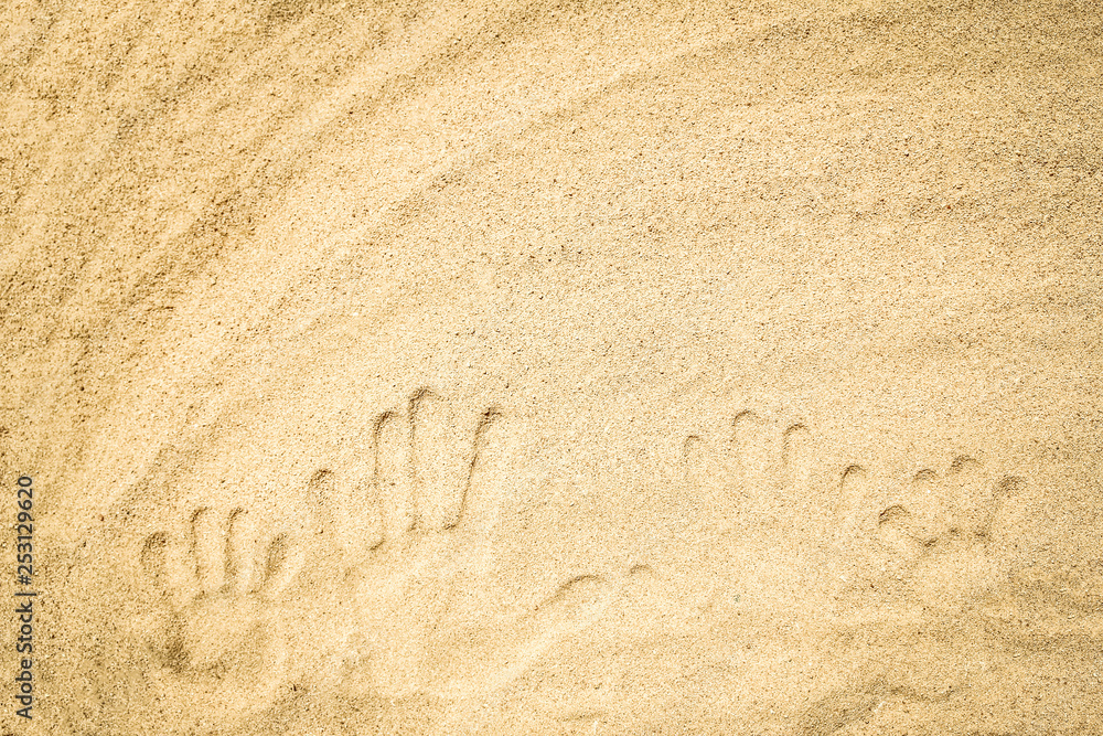 Beautiful drawing on the sand of the sea background Beautiful drawing on the sand of the sea background