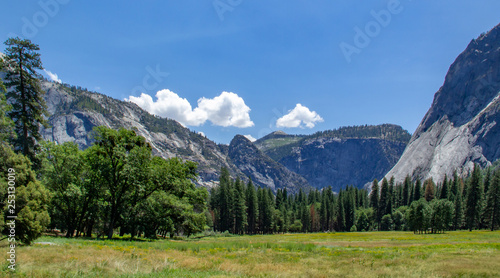 View of the Yosemite Valley into the valley. Yosemite National Park, California © Volodymyr