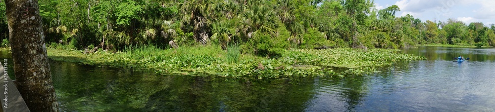 Wekiwa State Park in Central Florida, depicting the beauty of this habitat . Wekiwa State Park in Central Florida, depicting the beauty of this habitat .