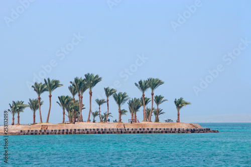 Tropical island with palm trees and sea. Paradise island in Red sea