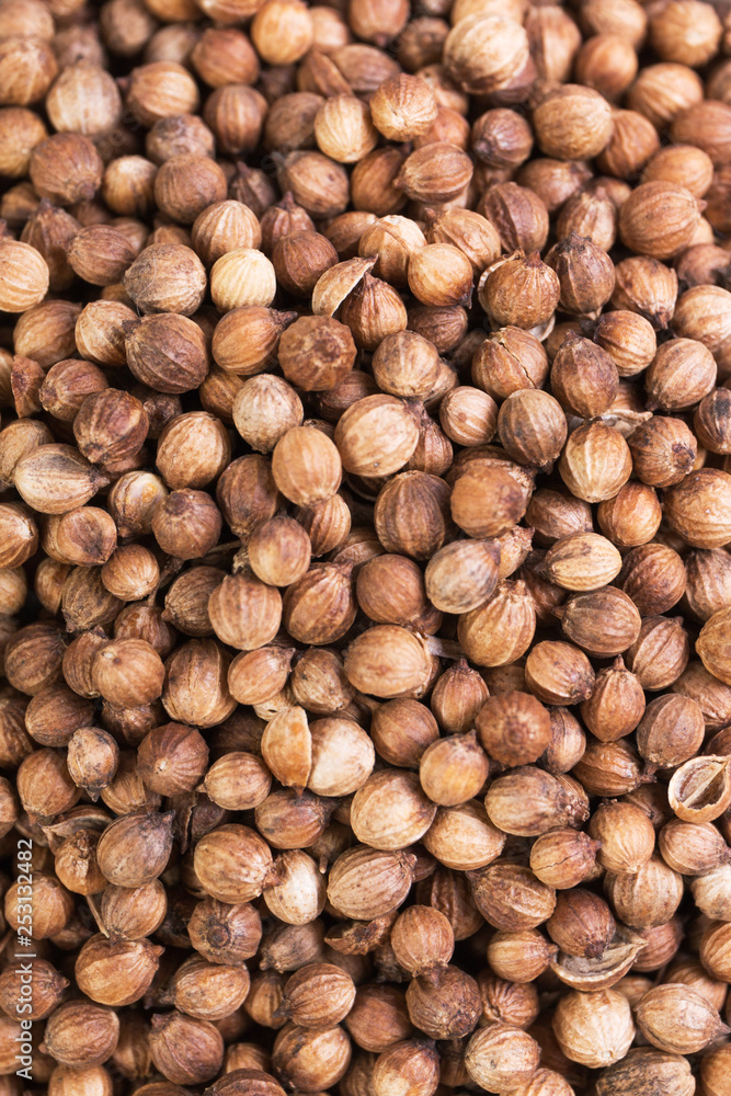 Coriander spice dry seeds. Textured food background. Top view Coriander spice dry seeds. Textured food background. Top view