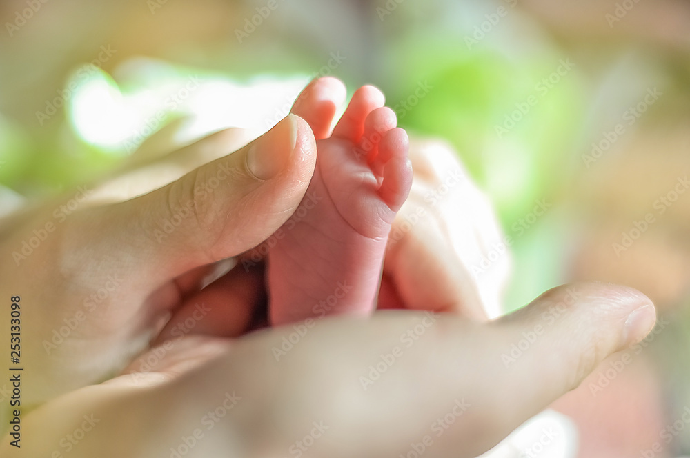 Baby s feet closeup picture. Mother s hands holding child s foot. Little girl s fingers at front.