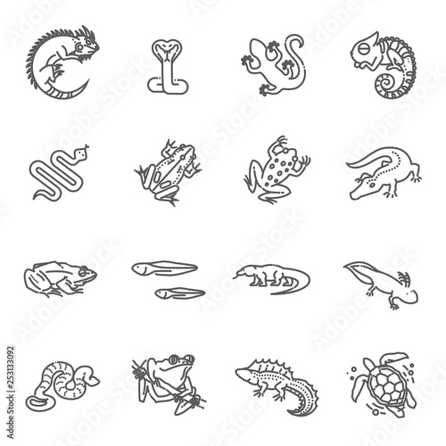 Reptiles and amphibians icons set. Line design photo