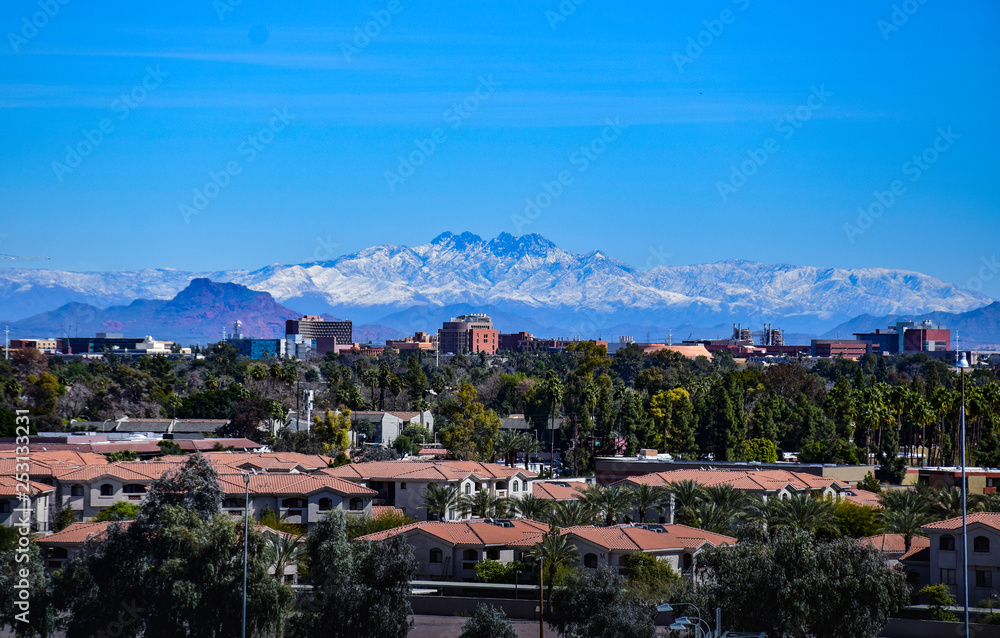 Fototapeta premium Phoenix