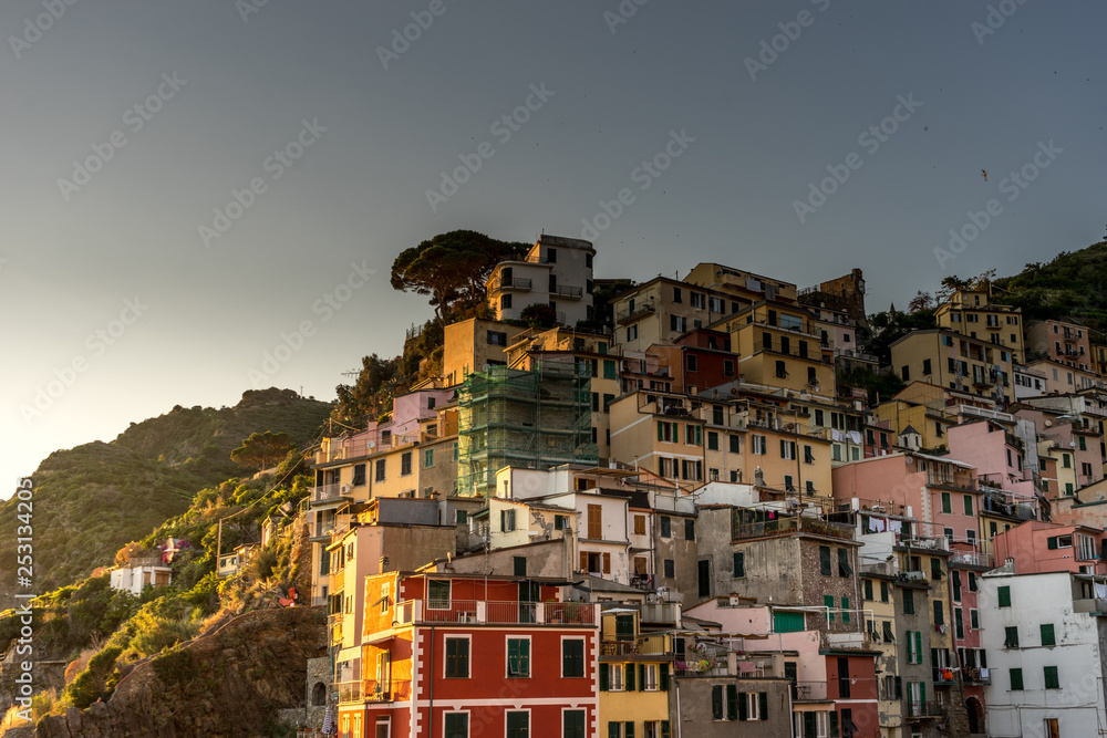Fototapeta premium Golden sunset at the cliff at the Italian Riviera in the Village of Riomaggiore, Cinque Terre, Italy