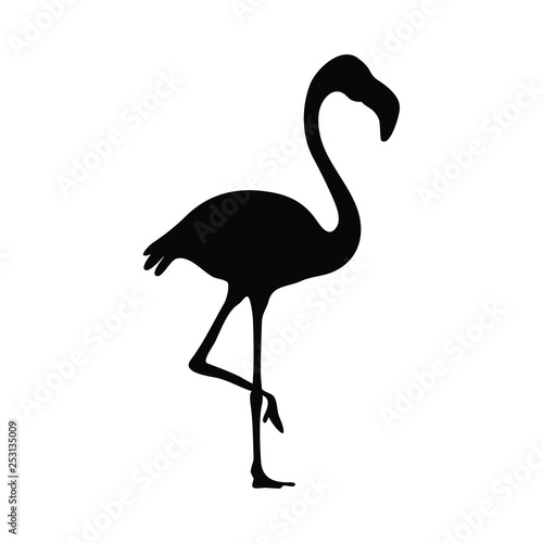 A black and white vector silhouette of a flamingo bird