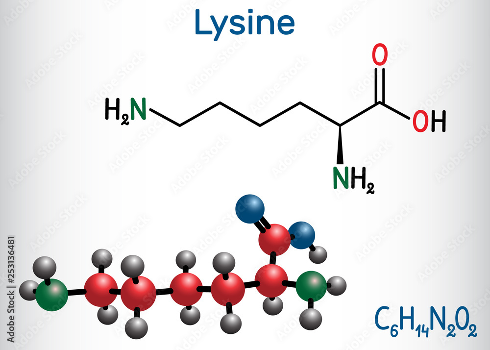 Lysine (L lysine , Lys, K) amino acid molecule. It is used in the