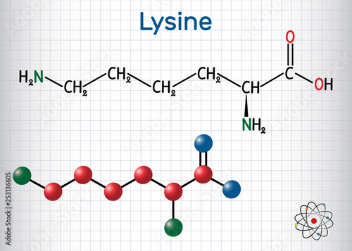 Lysine (L- lysine , Lys, K) amino acid molecule. It is used in the biosynthesis of proteins. Sheet of paper in a cage. Structural chemical formula and molecule model