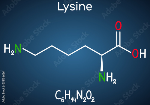 Lysine (L- lysine , Lys, K) amino acid molecule. It is used in the biosynthesis of proteins. Structural chemical formula on the dark blue background photo