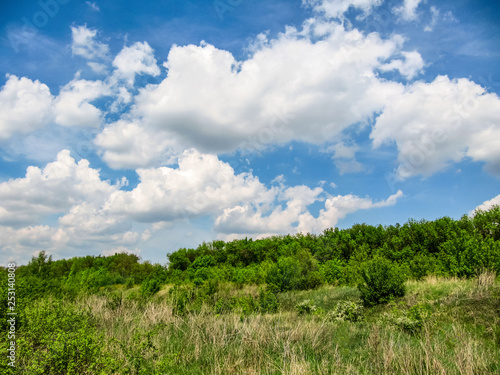Green forest, blue sky with white clouds