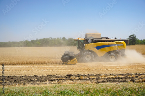 Harvesting. Combine harvests wheat on the field in the Rostov region in Russia.